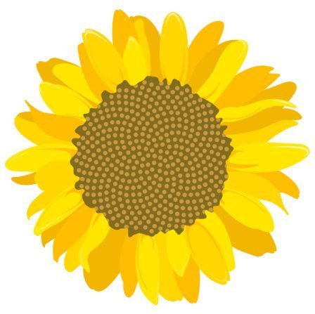 Girasol