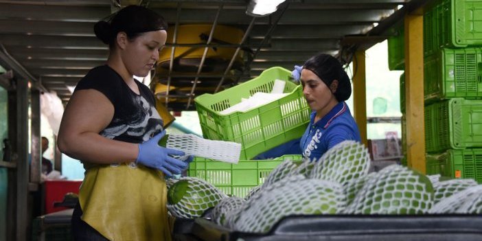Mujeres trabajando