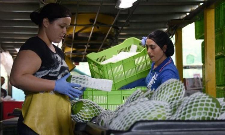 Mujeres trabajando
